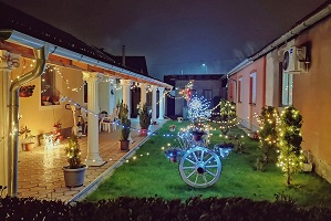 Privid (nove) godine