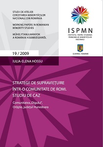 Strategii de supravieţuire într-o comunitate de romi. Studiu de caz. Comunitatea „Digului”, Orăştie, judeţul Hunedoara